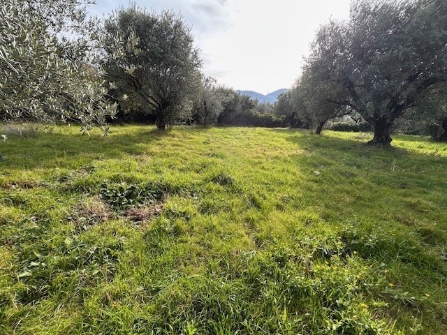 Terreno agricolo in Vendita a Marcellina, 30'000&euro;, 