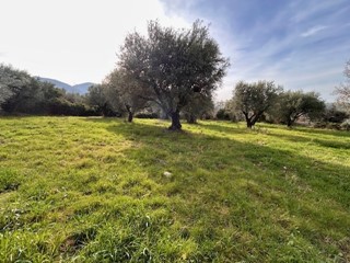 Terreno agricolo in Vendita a Marcellina, 30'000&euro;, 