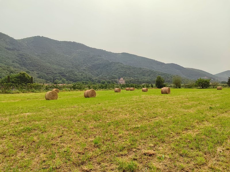 Terreno agricolo in Vendita a San Giuliano Terme, 159'000€, 17000 m²