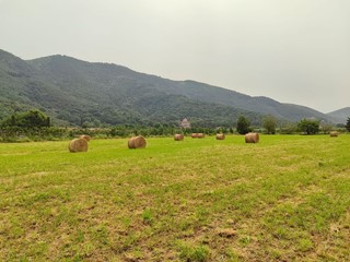 Terreno agricolo in Vendita a San Giuliano Terme, 159'000€, 17000 m²