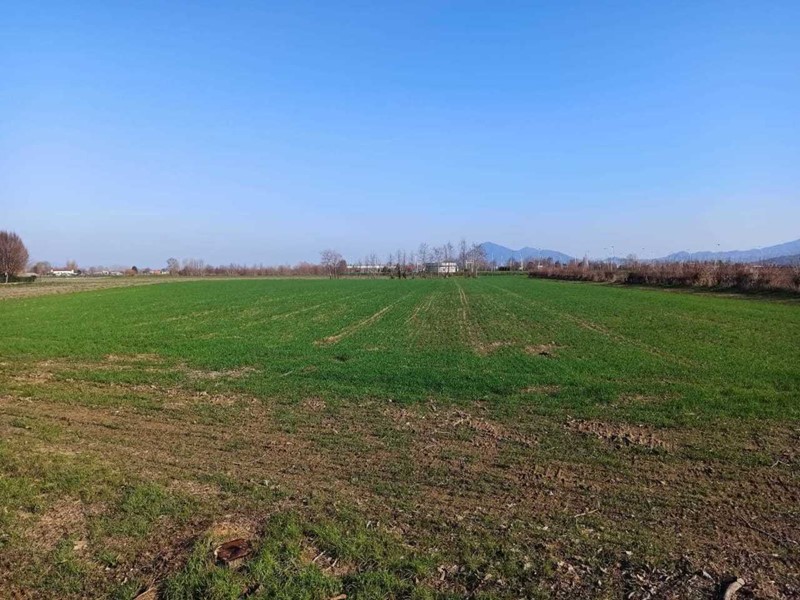 Terreno agricolo in Vendita a Noventa Vicentina, 68'000€, 13020 m²
