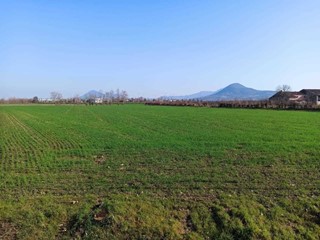 Terreno agricolo in Vendita a Noventa Vicentina, 68'000€, 13020 m²