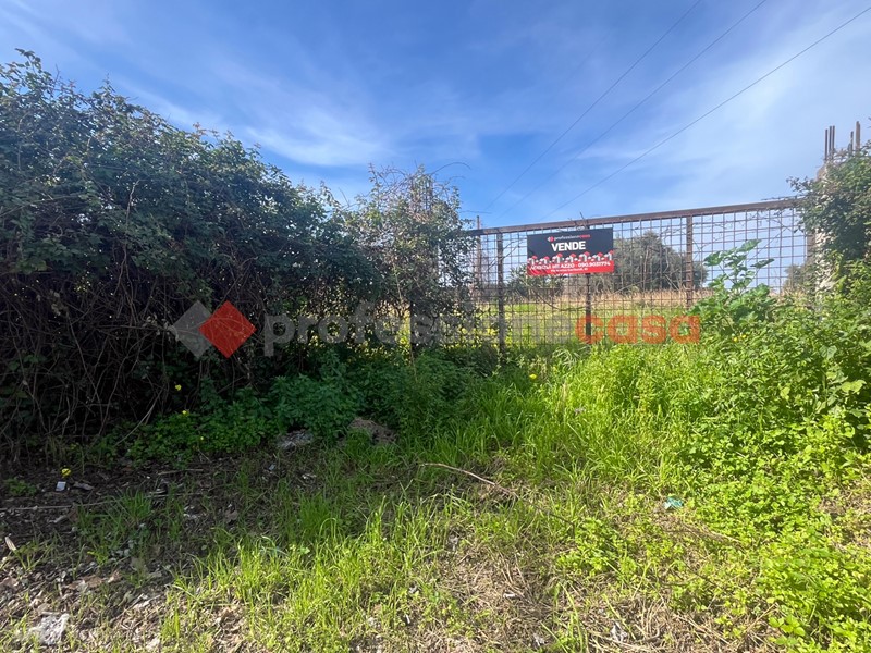 Terreno agricolo in Vendita a Milazzo, 245'000€, 9800 m²