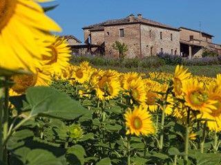 Casale in Vendita a Monteroni d'Arbia, 980'000€, 480 m², arredato