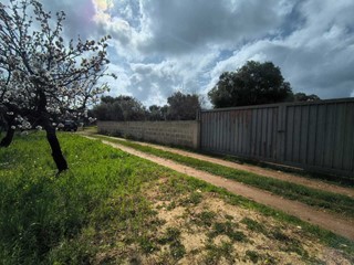 Terreno agricolo in Vendita a Monopoli, zona PRIMA CAMPAGNA, 17'000€, 2700 m²