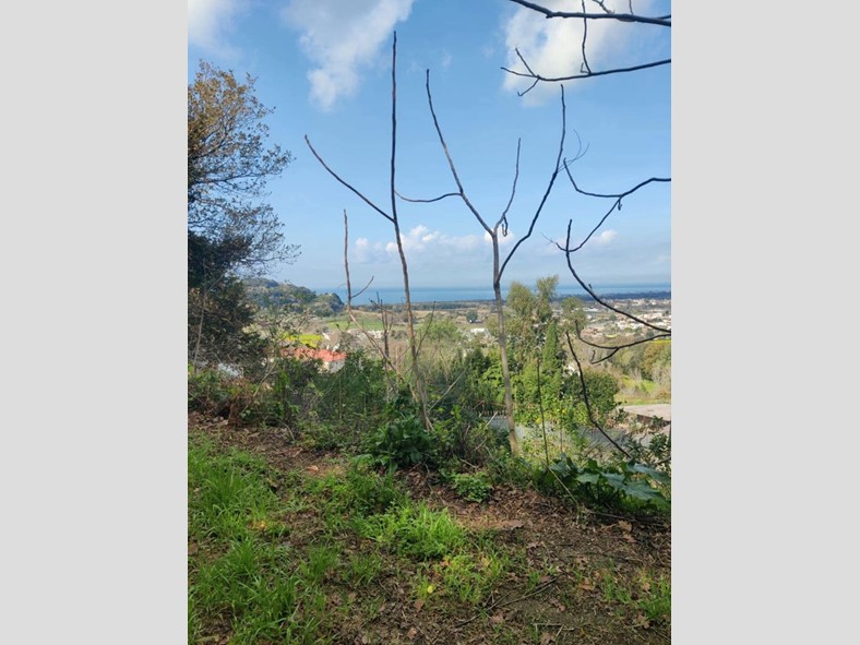 Terreno agricolo in Vendita a Bacoli, 99'000€, 16540 m²