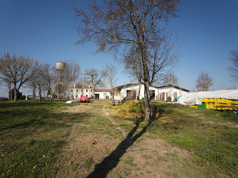 Terreno agricolo in Vendita a Minerbe, 61000 m²