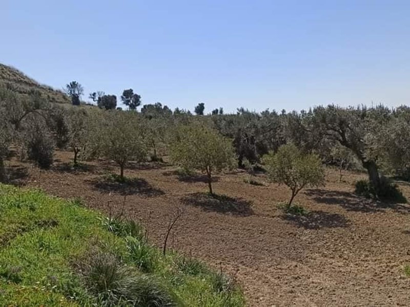 Terreno agricolo in Vendita a Motta San Giovanni, 49'000€, 16750 m²