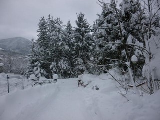 Monolocale in Vendita a Pievepelago, 75'000€, 35 m², arredato