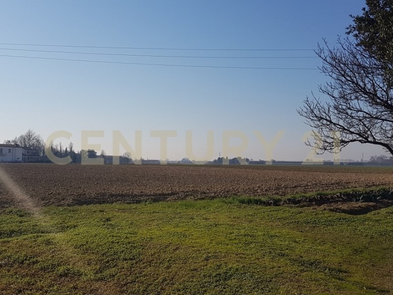 Terreno agricolo in Vendita a Cerea, 240'000€, 18442 m²