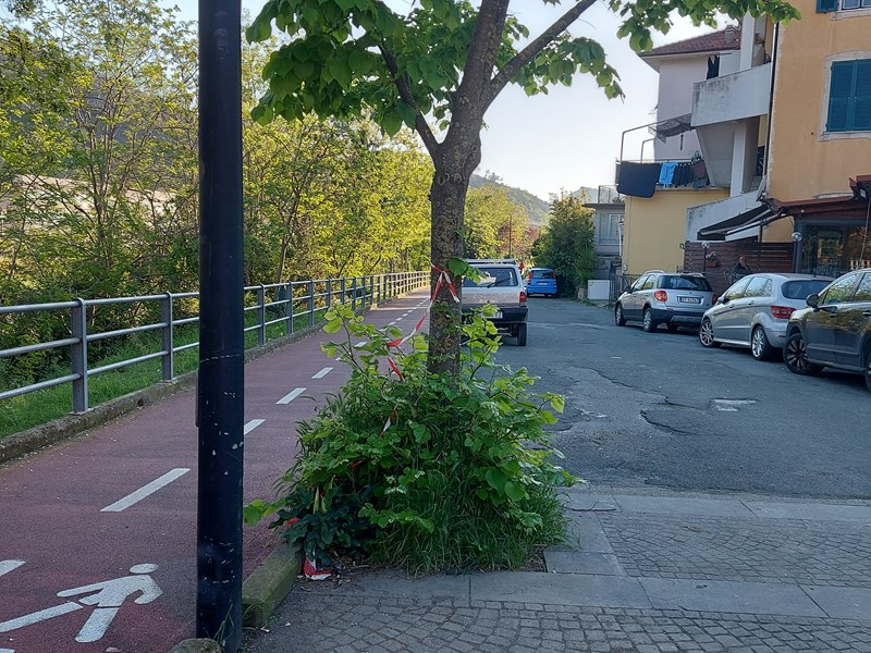 Trilocale in Affitto a Casarza Ligure, zona Centro storico , 700€, 90m