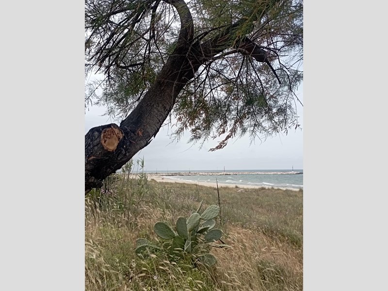 Bilocale in Vendita a Ischitella, 18'000€, 55 m², arredato