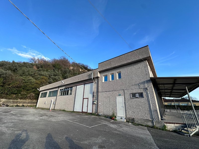 Capannone in Vendita a Massa, zona Romagnano, 1'600'000&euro;, 750 m²