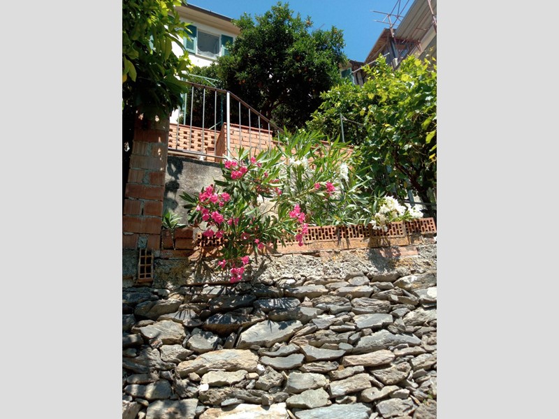 Casa Indipendente in Vendita a Ameglia, 220'000&euro;, 180 m², arredato