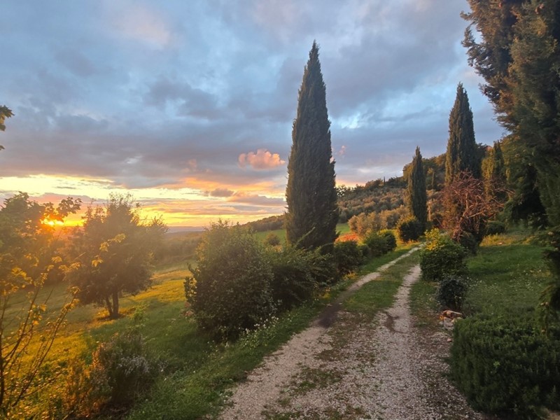 Casa Indipendente in Vendita a Baschi, zona Civitella Del Lago, 950'000&euro;, 440 m²
