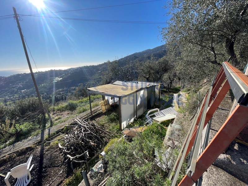 Terreno agricolo in Vendita a Sanremo, 80'000€, 3200 m²