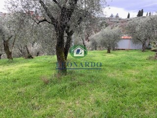 Terreno agricolo in Vendita a Buggiano, zona Colle, 35'000€, 5500 m²