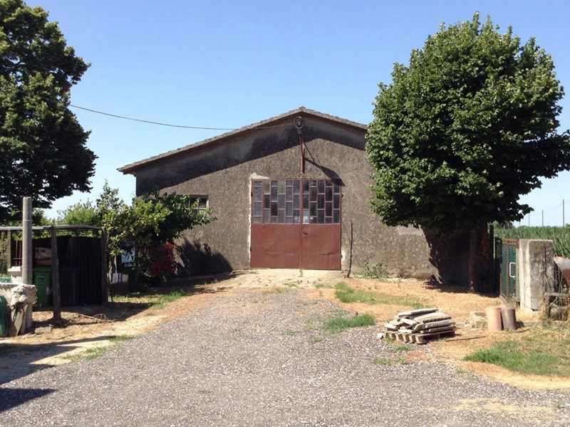 Terreno agricolo in Vendita a Gavello, 230'000€, 78514 m²