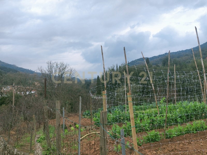 Casa Indipendente in Vendita a Monte Argentario, zona Porto Santo Stefano, 150'000€, 50 m²