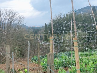 Casa Indipendente in Vendita a Monte Argentario, zona Porto Santo Stefano, 150'000€, 50 m²