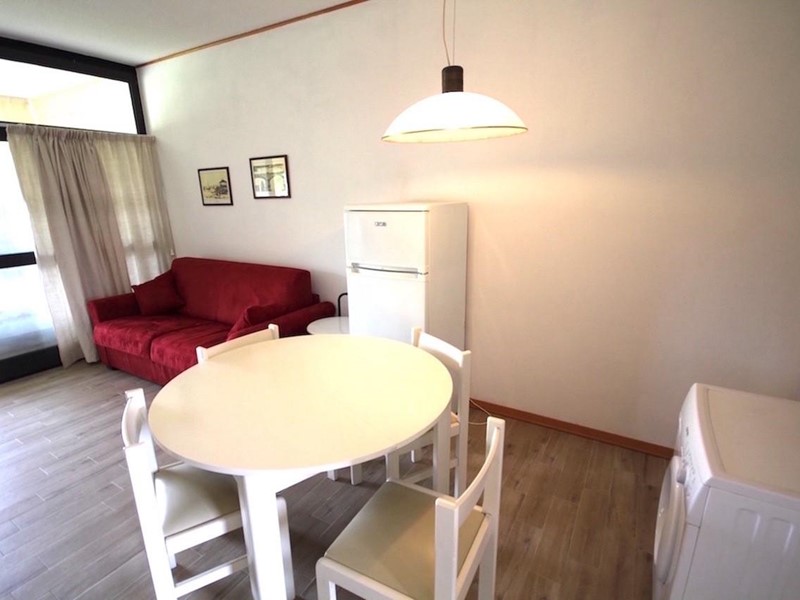 Monolocale in Affitto a Bibbona, zona Marina di Bibbona, 200€, 33 m², arredato