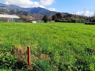 Terreno agricolo in Vendita a Massa, 45'000€, 1280 m²