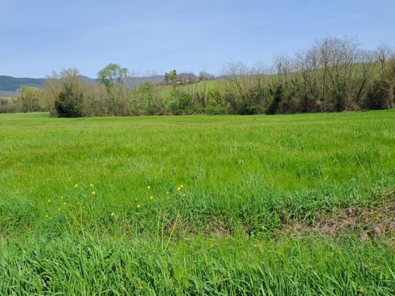 Terreno agricolo in Vendita a Castelfranco di Sotto, 25'000€, 7250 m²