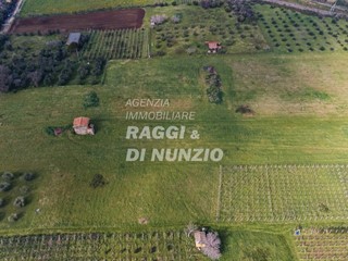 Terreno agricolo in Vendita a Monte Compatri, 420'000€, 48000 m²