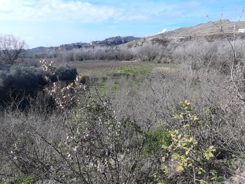 Terreno agricolo in Vendita a Montecorvino Rovella, 56'000€, 13000 m²