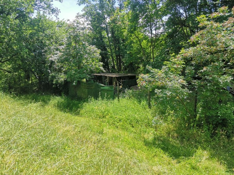 Terreno agricolo in Vendita a Colle di Val D'Elsa, 9'800&euro;, 2140 m²