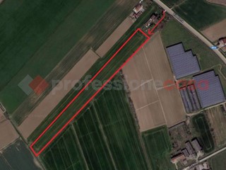 Terreno agricolo in Vendita a Gazzo Veronese, 65'000€, 16216 m²