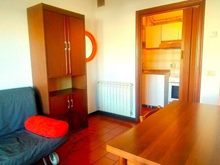 Bilocale in Affitto a Viareggio, zona Pineta/Marco Polo, 700€, 50 m², arredato