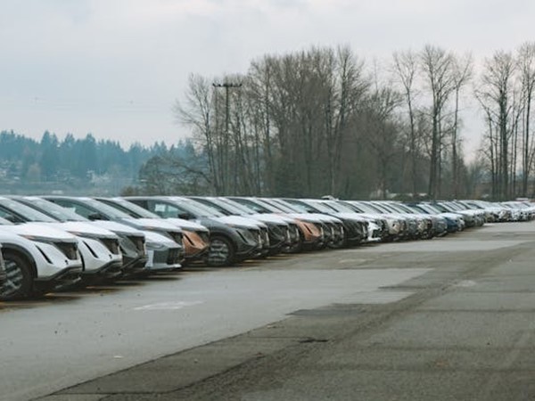 Terreno agricolo in Affitto a Santo Stefano di Magra, zona santo stefano magra, 2'500&euro;, 2500 m²