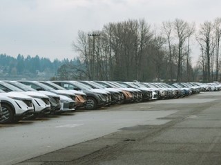 Terreno agricolo in Affitto a Santo Stefano di Magra, zona santo stefano magra, 2'500€, 2500 m²