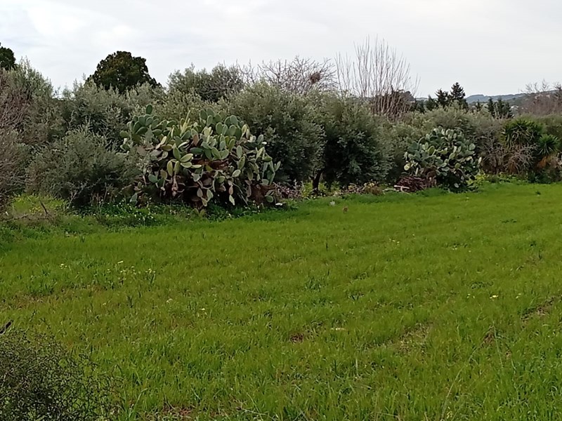 Terreno agricolo in Vendita a Floridia, 25'000€, 3481 m²