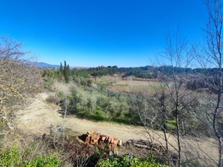 Terreno agricolo in Vendita a Crespina Lorenzana, 40'000€, 20611 m²