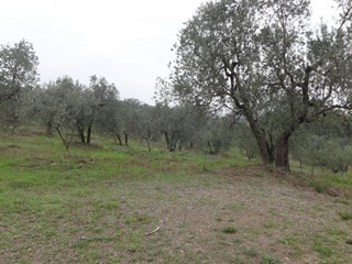Terreno agricolo in Vendita a Lucca, 35'000&euro;, 1500 m²