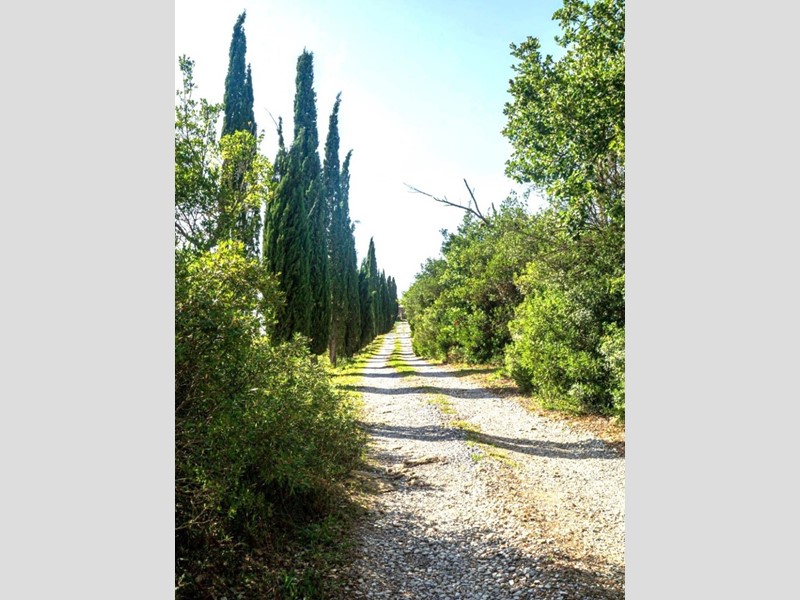 Casa Indipendente in Vendita a Monterotondo Marittimo, 997'000€, 1000 m², arredato