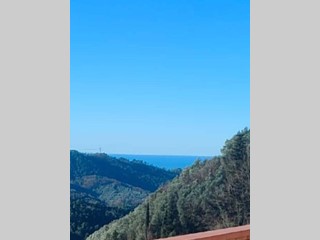 Villa in Vendita a Camaiore, zona Torcigliano, 248'000&euro;, 250 m², con Box