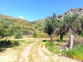 Terreno agricolo in Vendita a Mondragone, zona Incaldana, 10'000€, 2948 m²