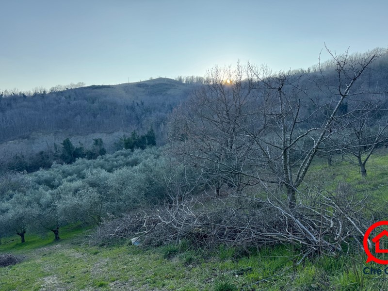 Terreno agricolo in Vendita a Roncofreddo, zona Ardiano, 75'000€, 52000 m²