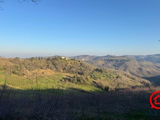 Terreno agricolo in Vendita a Roncofreddo, zona Ardiano, 75'000€, 52000 m²