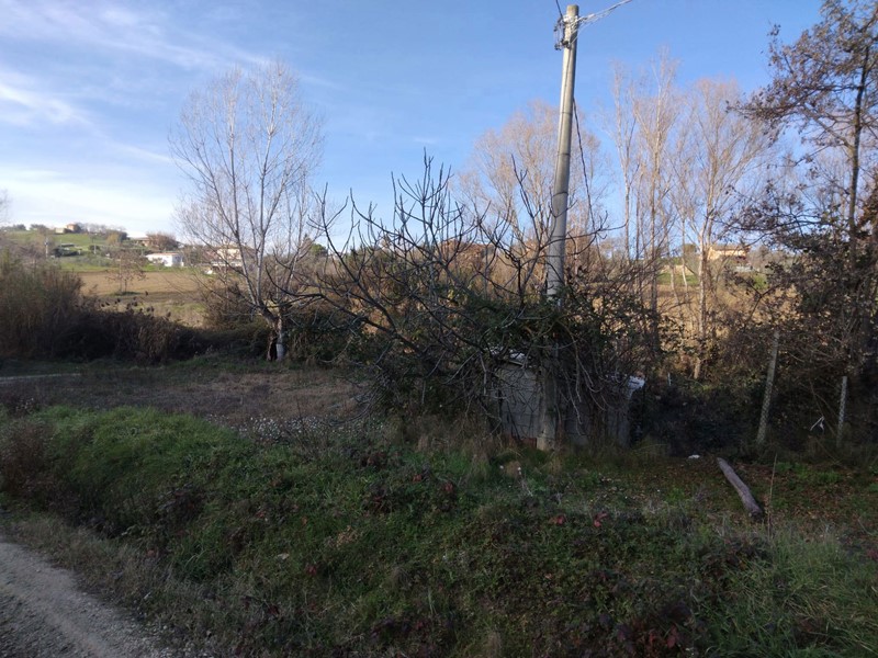 Terreno agricolo in Vendita a Controguerra, 70'000€, 30000 m²