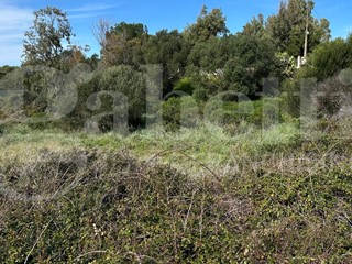 Terreno edificabile in Vendita a Santa Teresa Gallura, 200'000€, 6705 m²