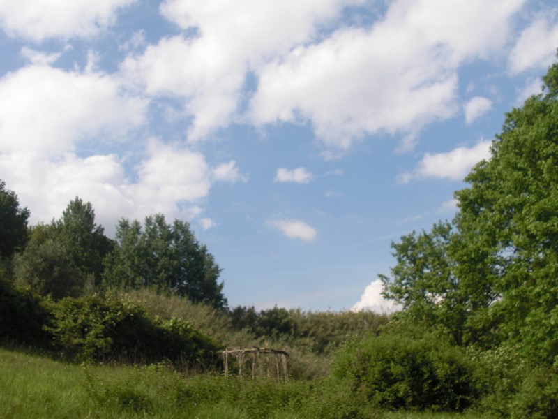 Terreno agricolo in Vendita a Casciana Terme Lari, 1000 m²