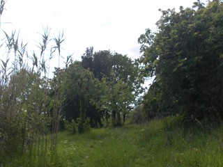 Terreno agricolo in Vendita a Casciana Terme Lari, 1000 m²