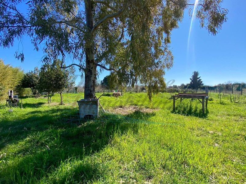 Terreno agricolo in Vendita a Cecina, zona palazzi, 35'000€, 1457 m²