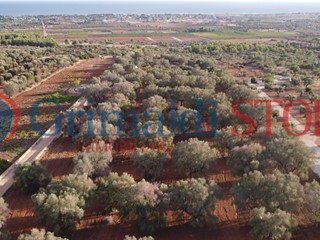 Terreno agricolo in Vendita a Manduria, 250'000€, 28344 m²