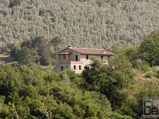 Casale in Vendita a Vinci, 780'000€, 330 m²