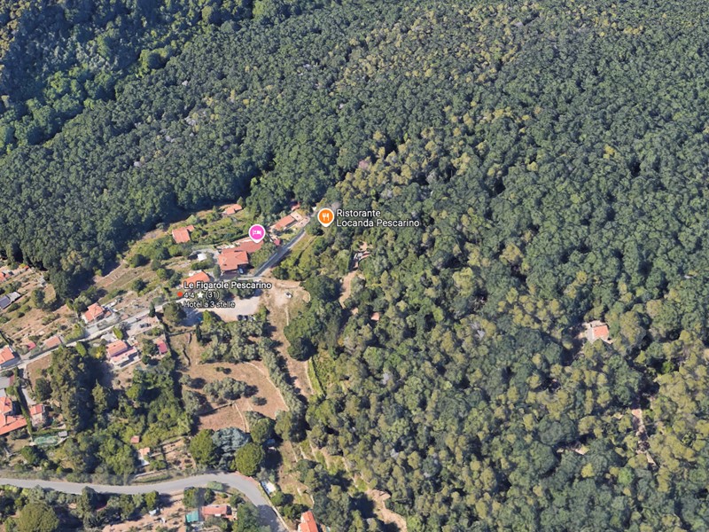 Terreno agricolo in Vendita a Ameglia, 10'000&euro;, 1900 m²